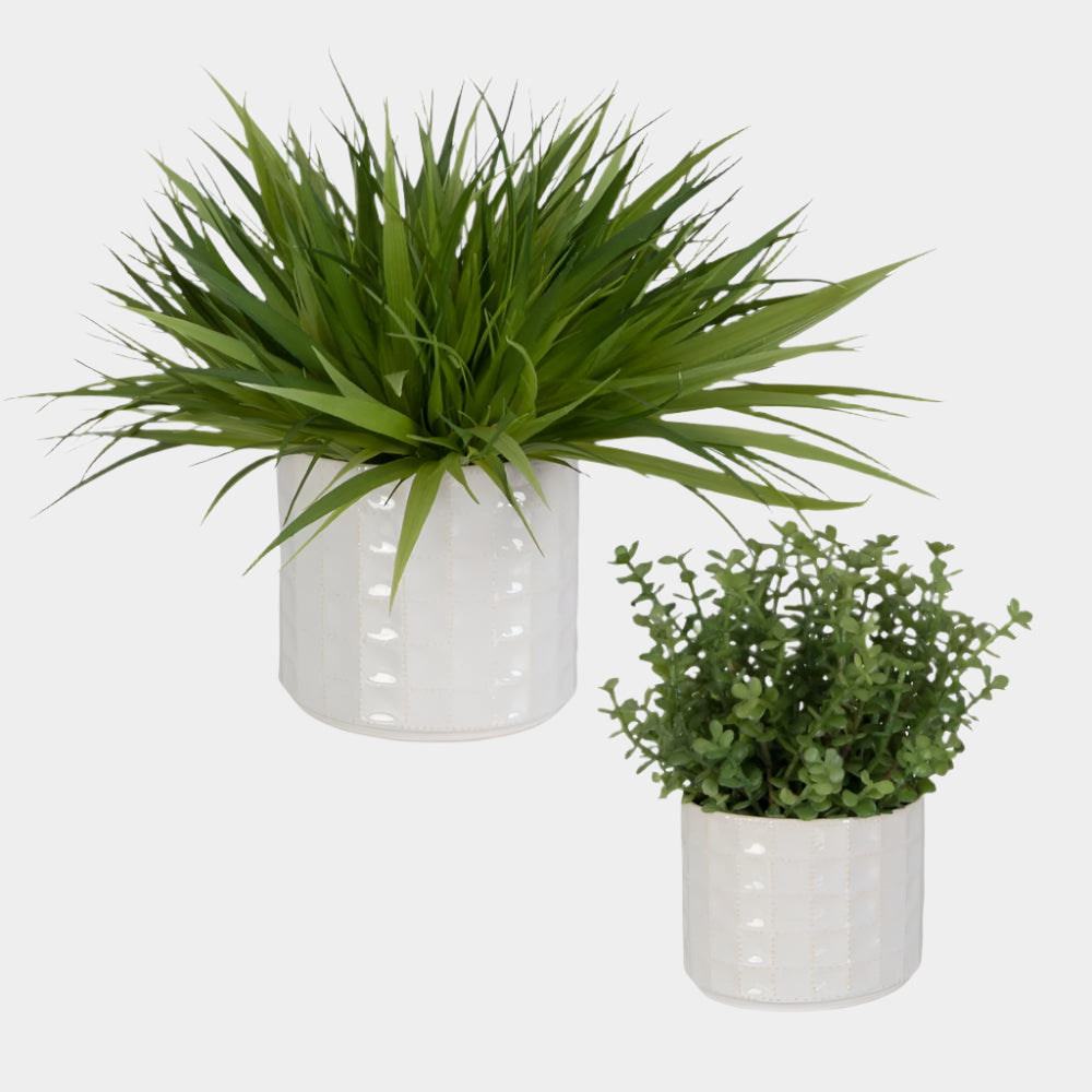 Edgewood Greenery, S/2