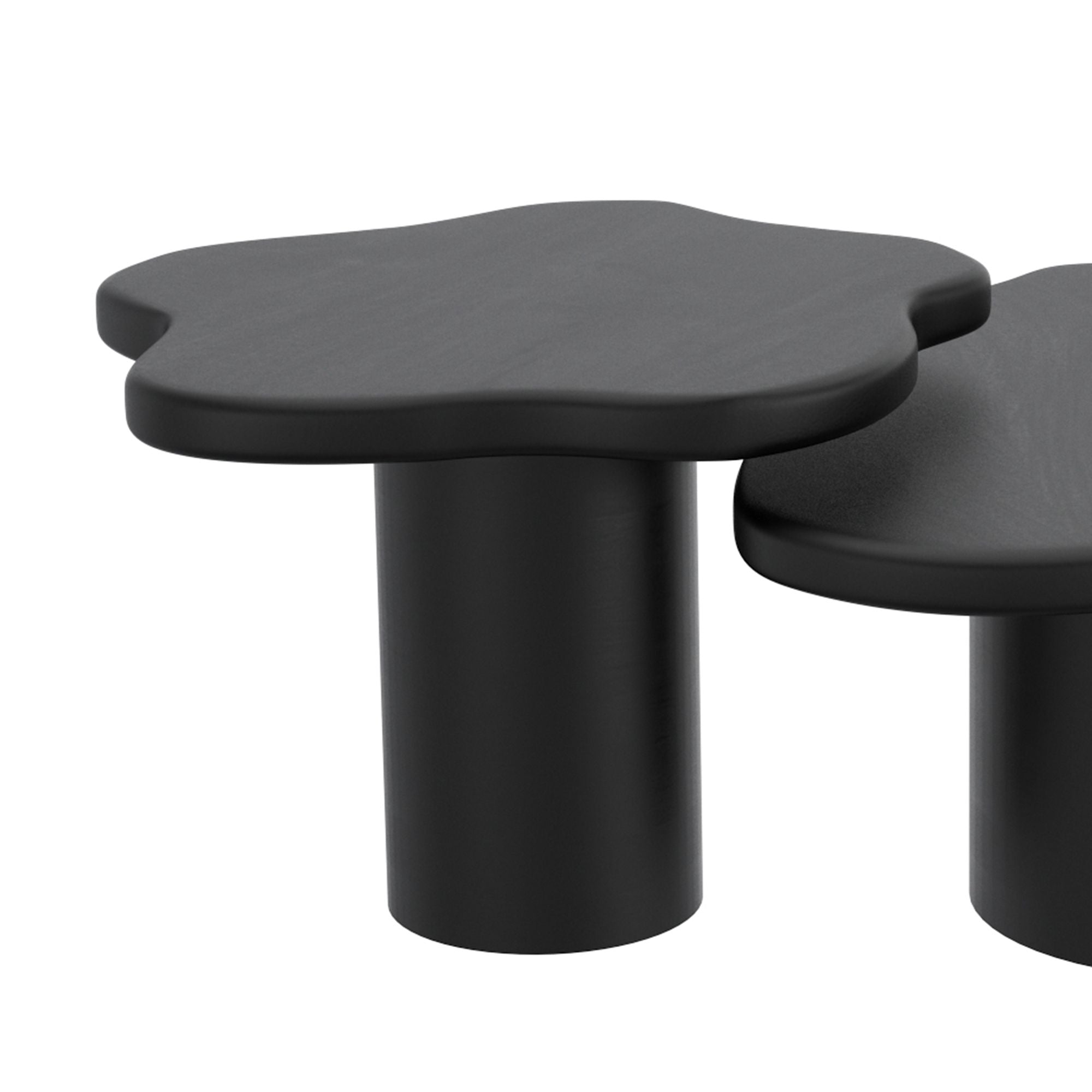 Mayal Small Coffee Table in Black