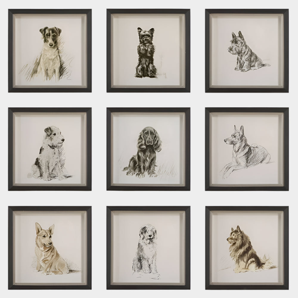 Loyal Companion Framed Prints, S/9