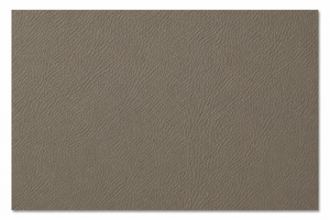 Swatch Image