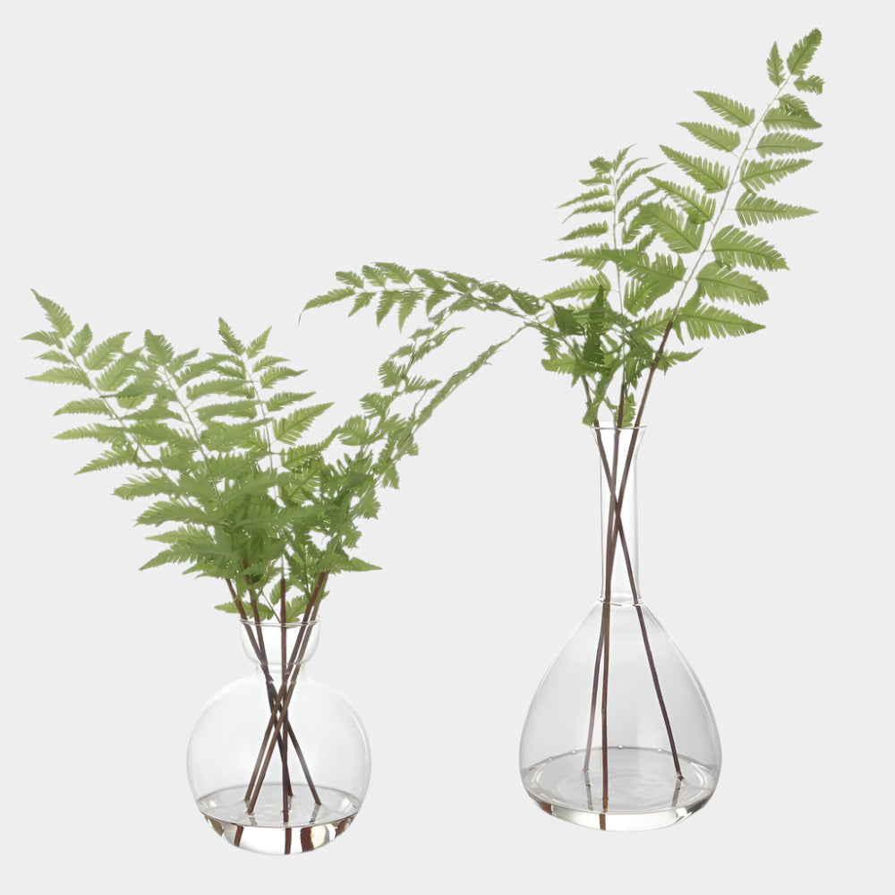 Country Ferns, S/2