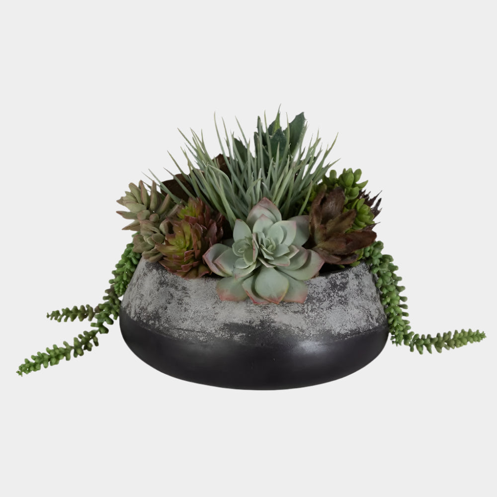 Gobi Succulent Centerpiece