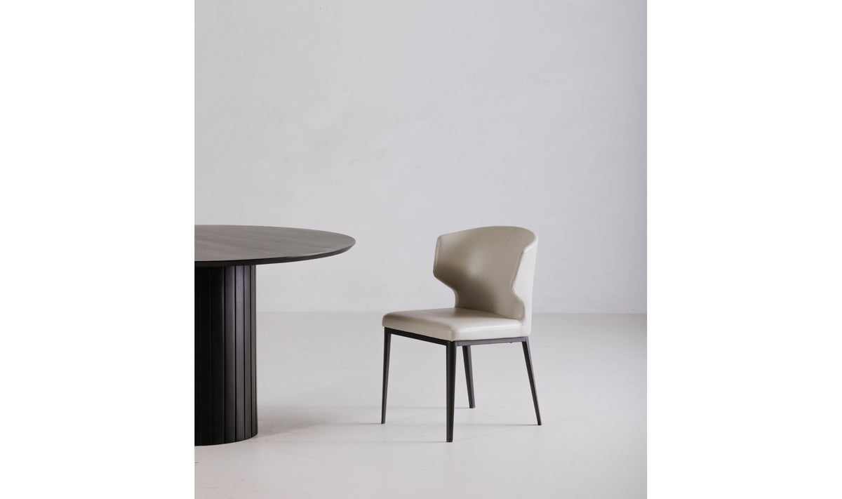 Delaney Dining Chair Set of 2