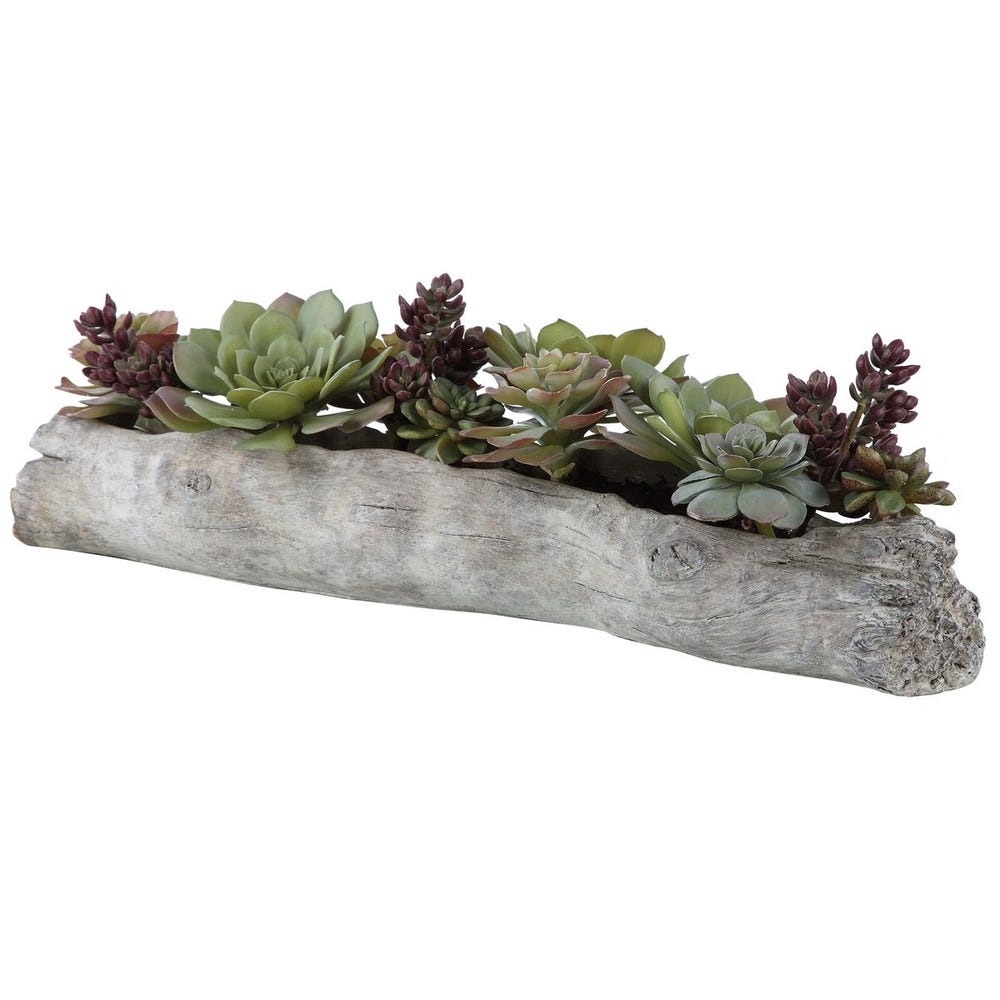 Charita Succulents
