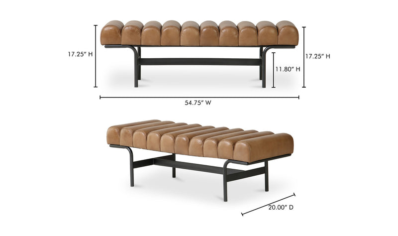 Variant Dimensions Image