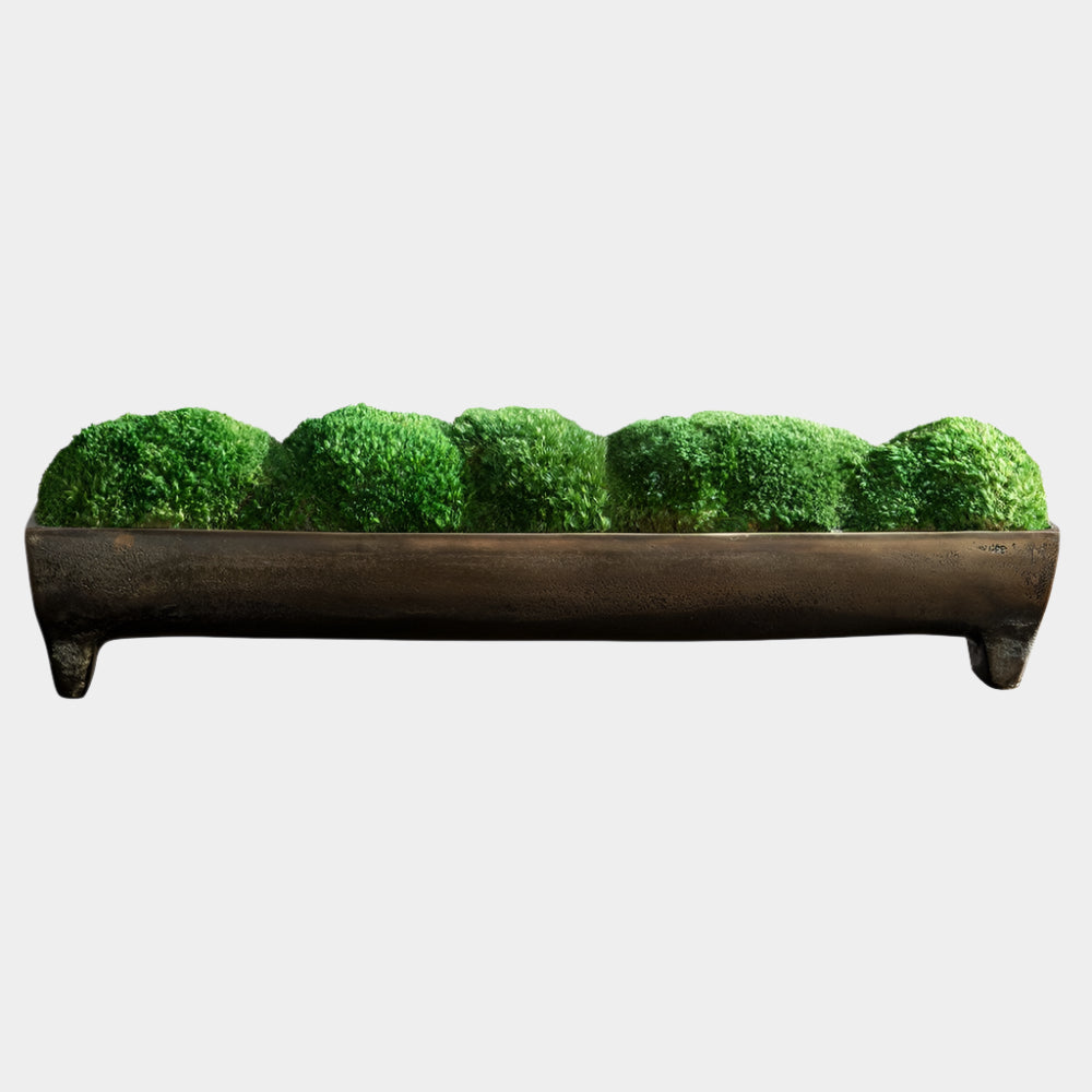 Canal Moss Centerpiece