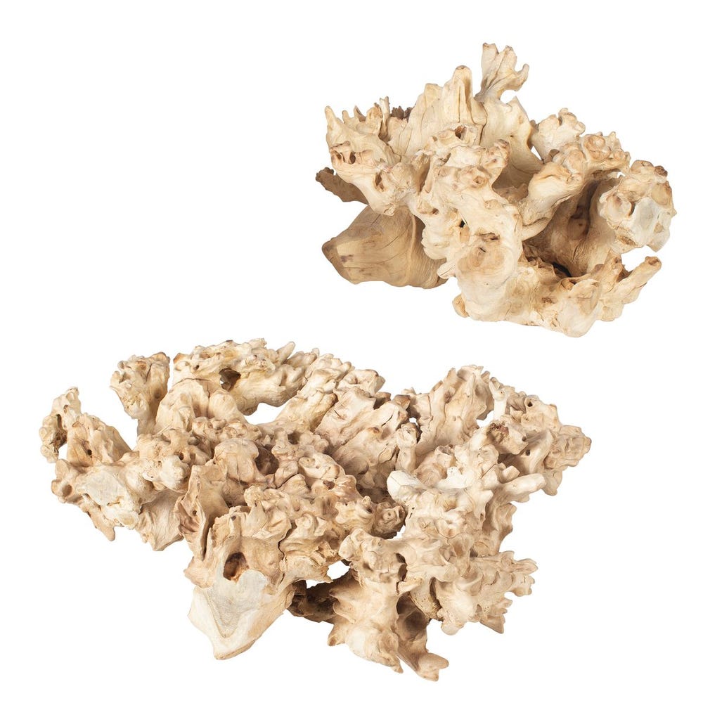 Elemental Root Outdoor Sculptures, S/2