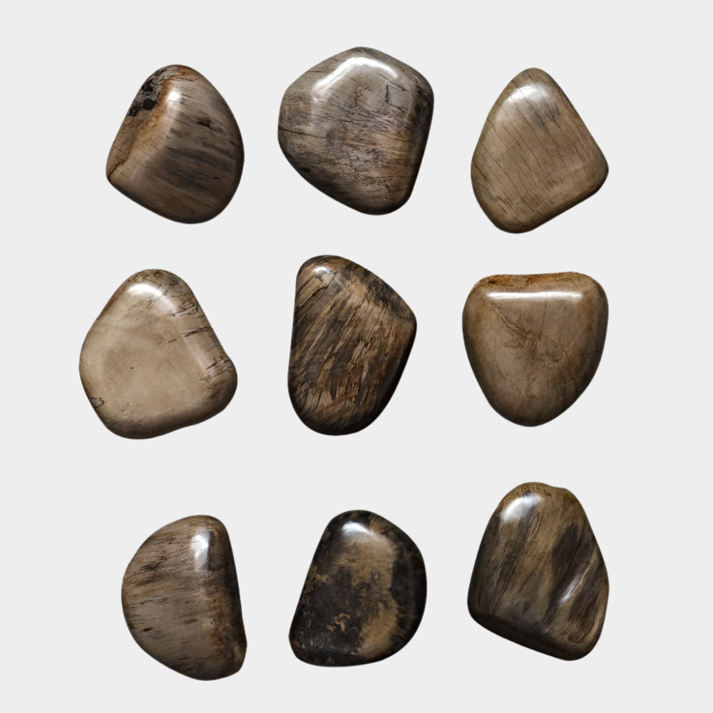 Pebbles Wood Wall Decor, S/9