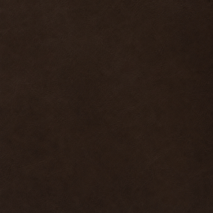 Swatch Image