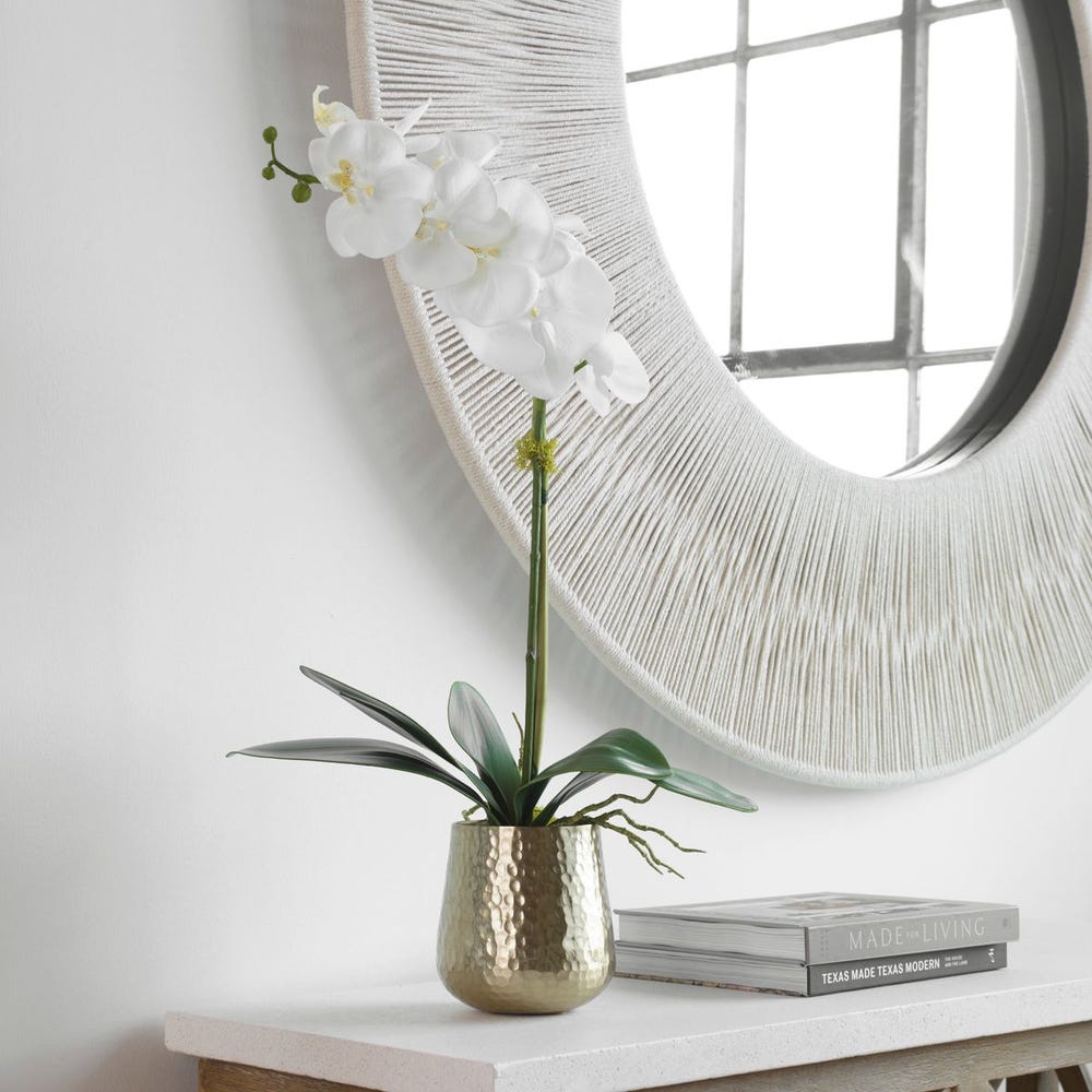 Cami Orchid