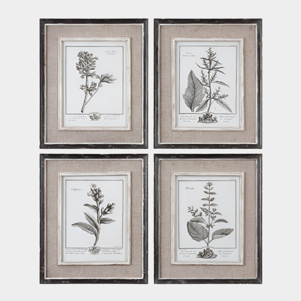 Casual Grey Study Framed Prints, S/4