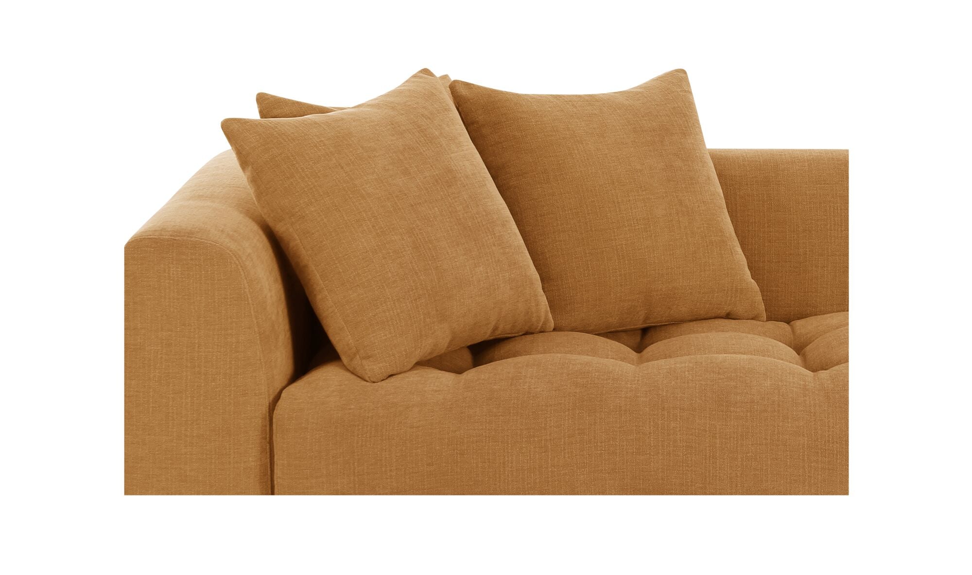Davie Modular Sofa
