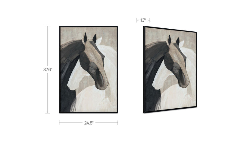 Variant Dimensions Image