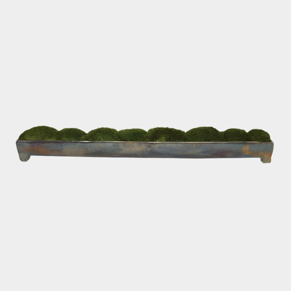 Canal Moss Centerpiece