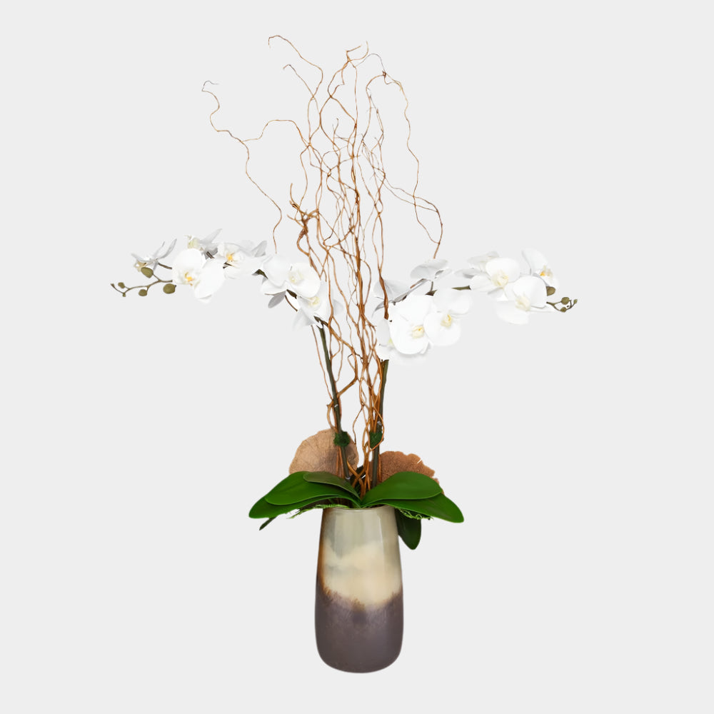 Earthbound Orchid