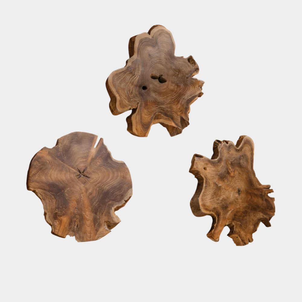 Kalani Outdoor Wood Wall Decor, S/3