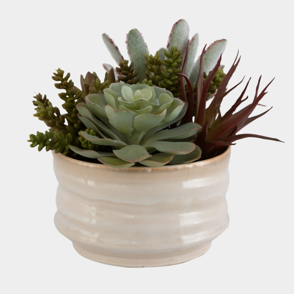 Mesa Succulent Accent