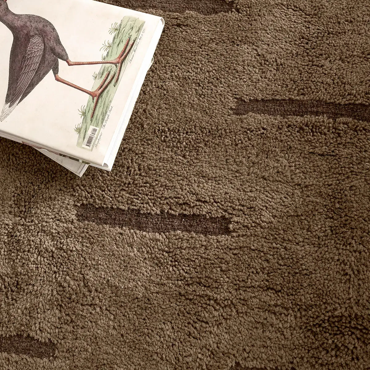 Aibel Rug