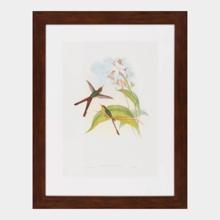 Surya Wall Decor Framed Art