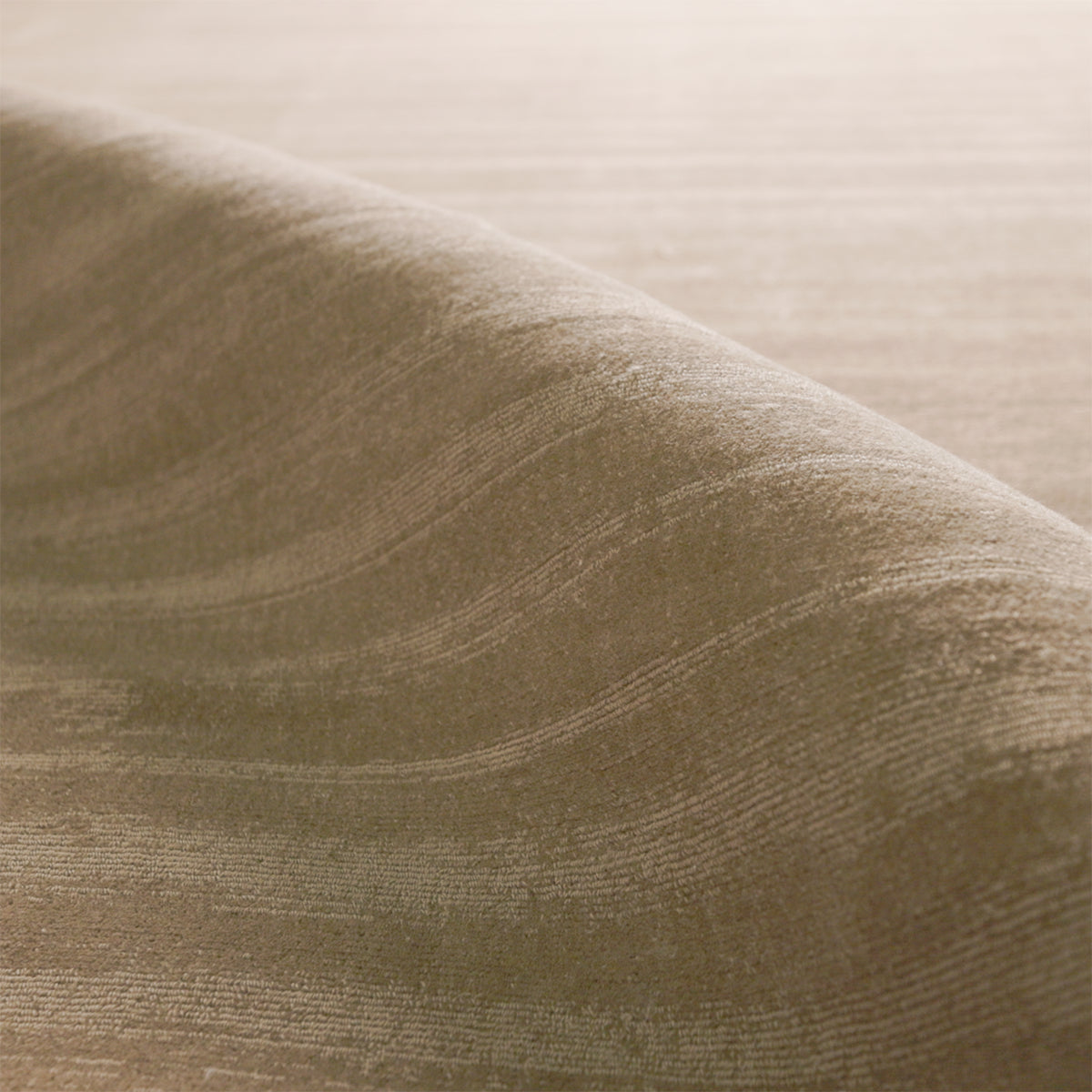 Canyon 04 Rug