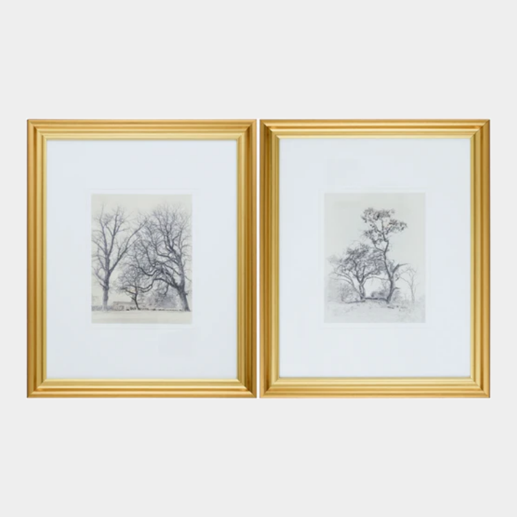 Coconino Framed Art