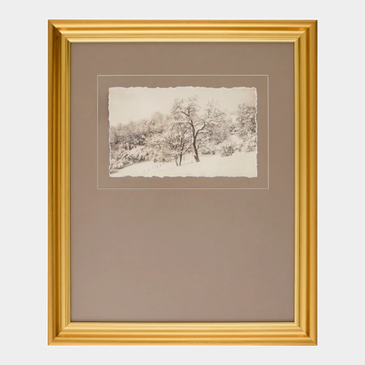 Coconino Framed Art