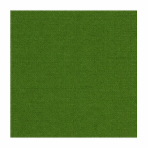 Swatch Image
