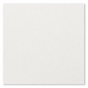 Swatch Image