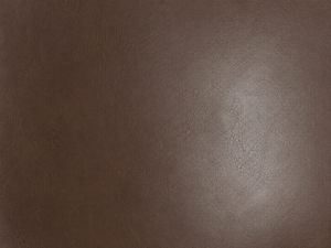 Swatch Image