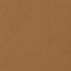 Swatch Image
