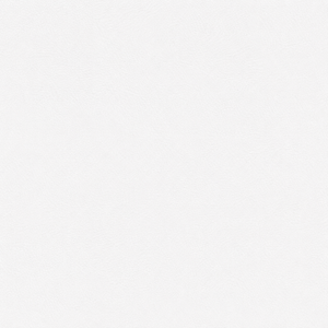 Swatch Image
