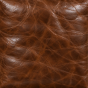 Swatch Image