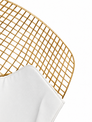 Swatch Image