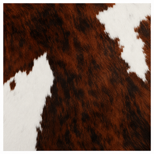 Swatch Image
