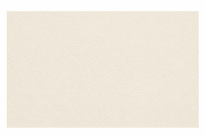 Swatch Image