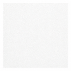 Swatch Image