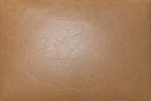 Swatch Image