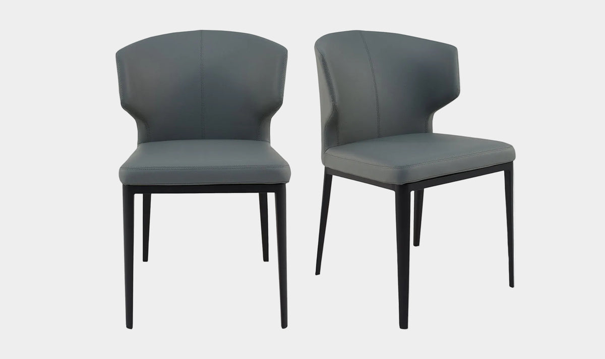 Delaney Dining Chair Set of 2