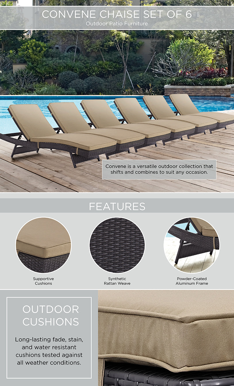 Product Highlights