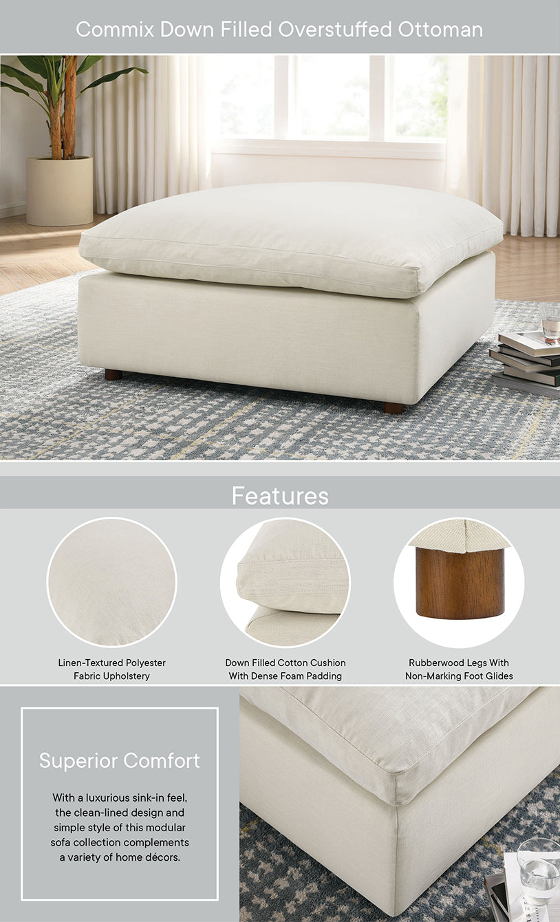 Product Highlights