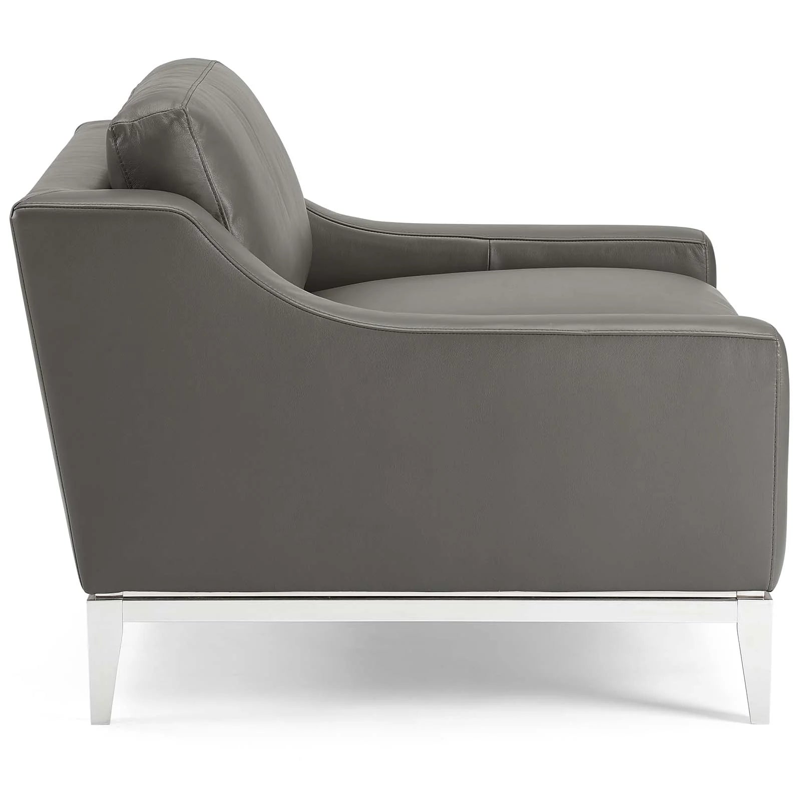 Fauteuil en cuir avec base en acier inoxydable et harnais