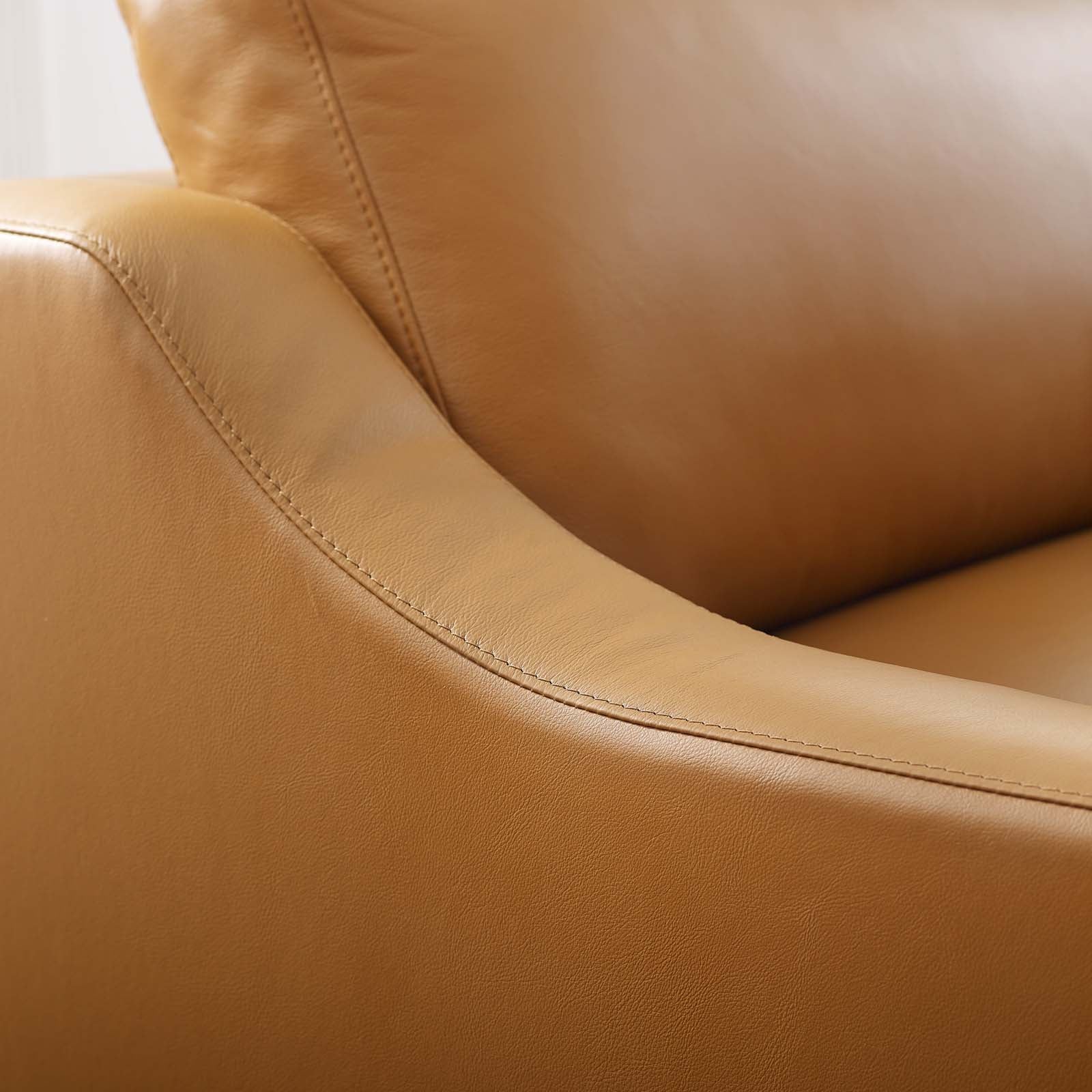 Fauteuil en cuir avec base en acier inoxydable et harnais