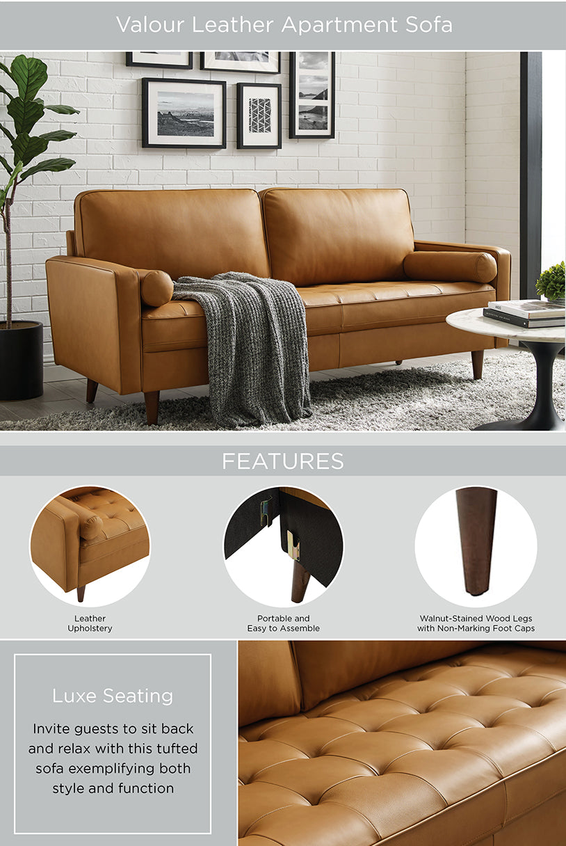 Product Highlights