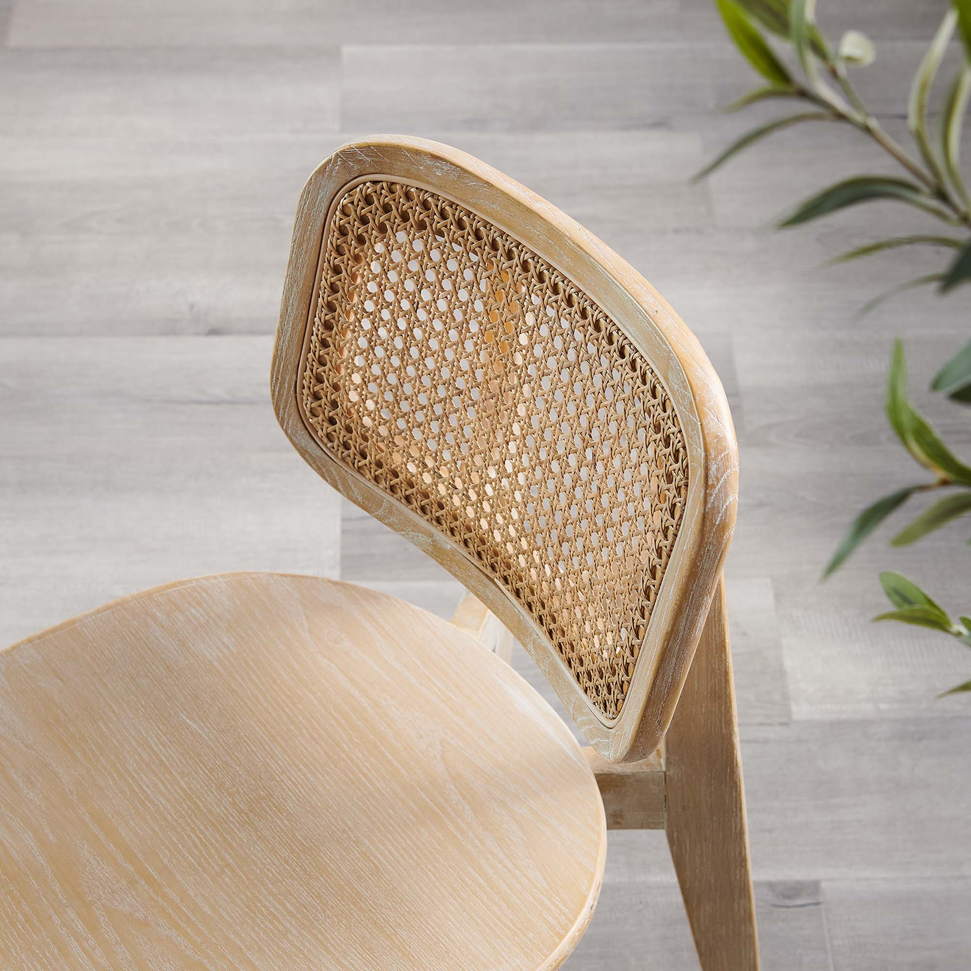 Habitat Wood Dining Side Chair