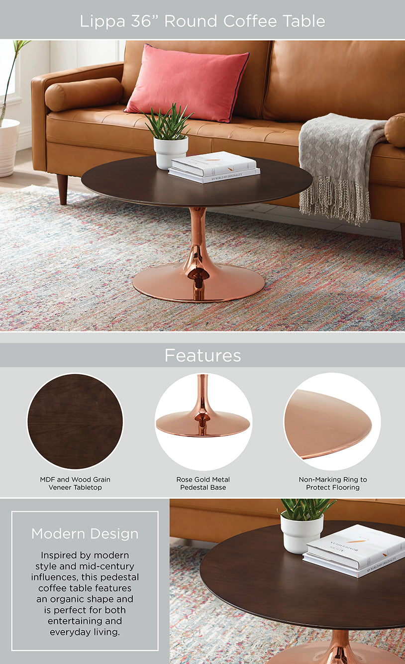 Product Highlights