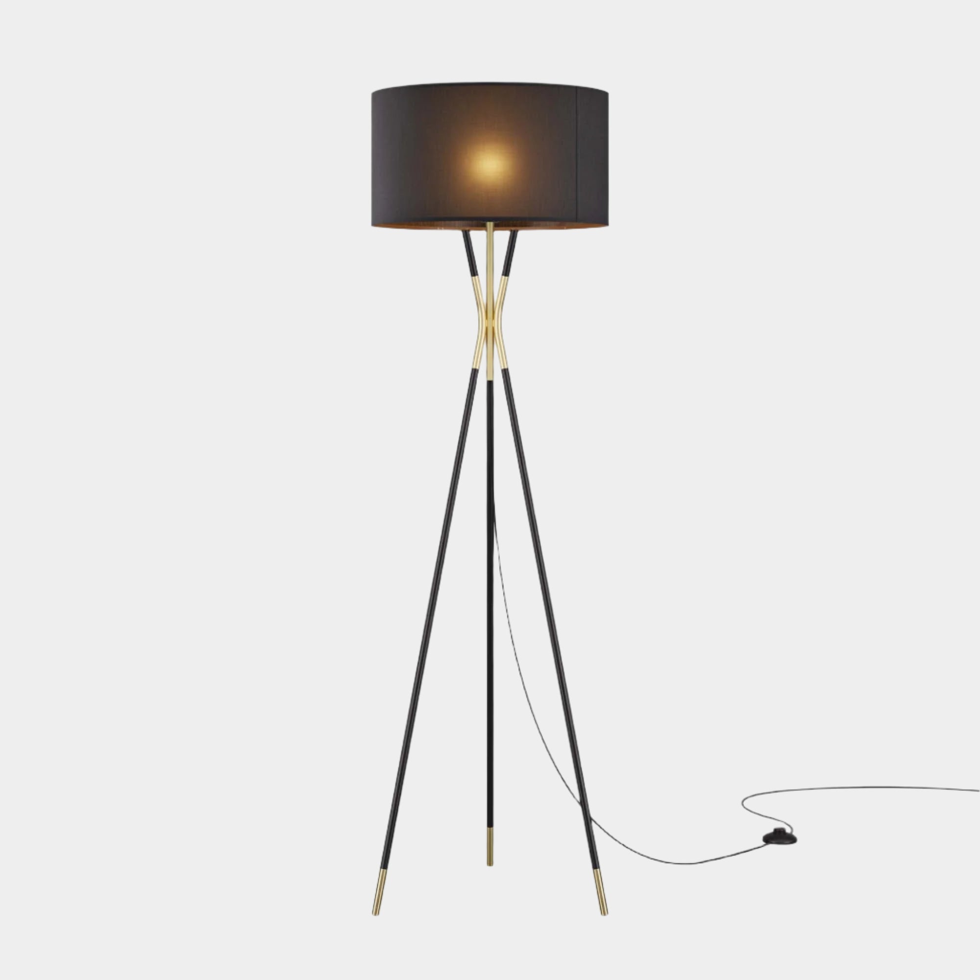 Audrey Standing Floor Lamp in Black