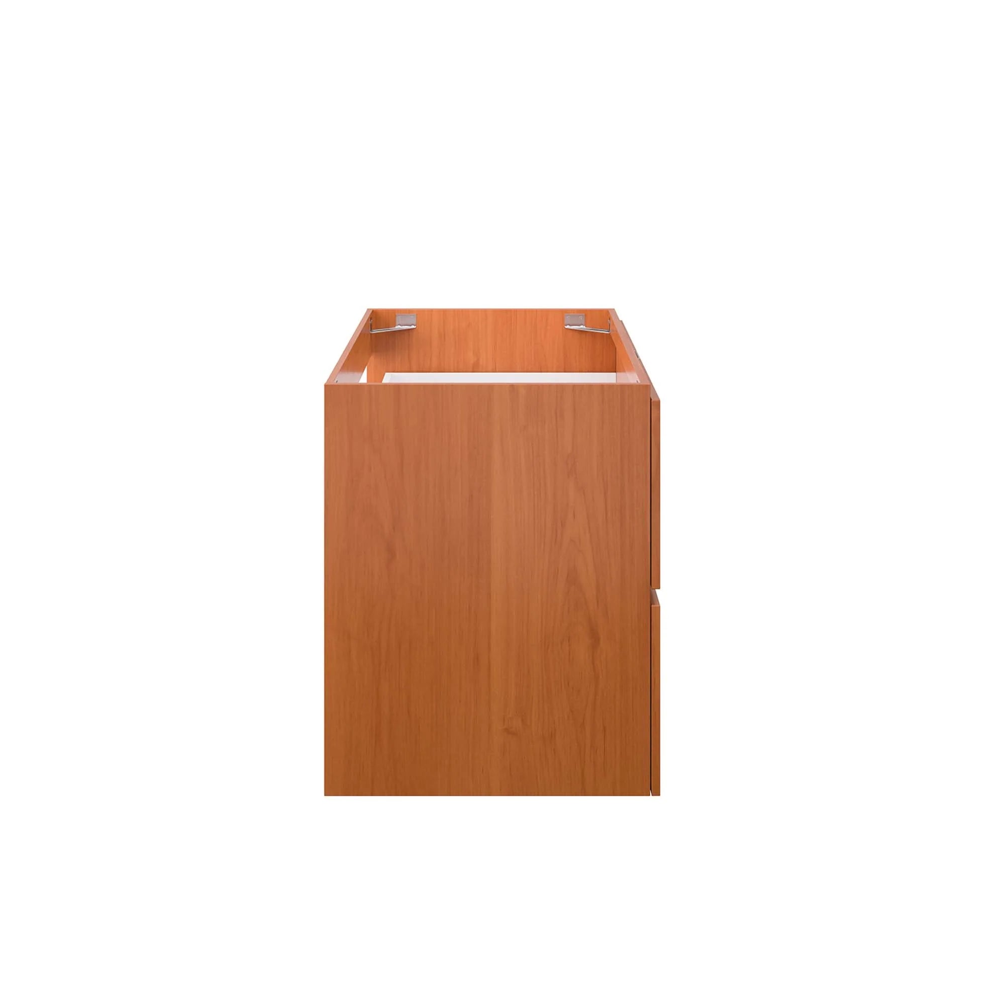 Scenic Wall-Mount Bathroom Vanity Cabinet Basin Not Included