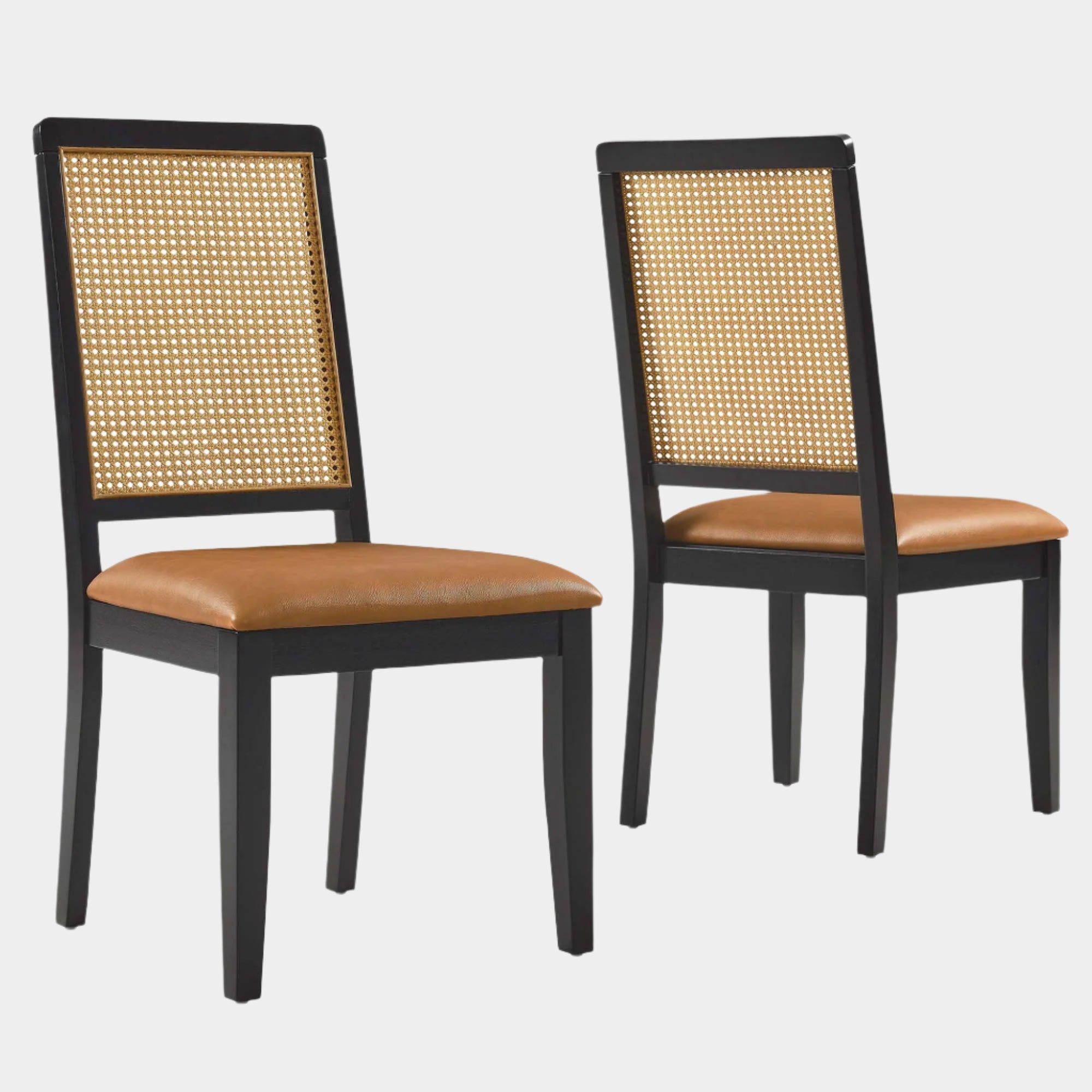 Arlo Vegan Leather Upholstered Faux Rattan and Wood Dining Side Chairs - Set of 2