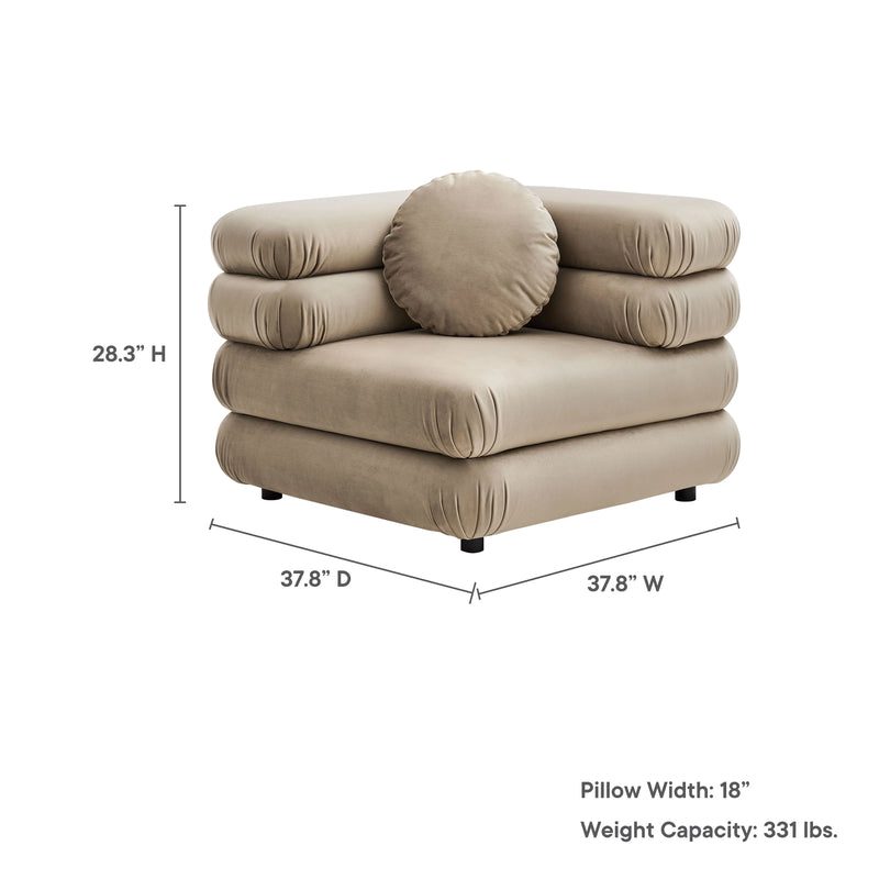 Variant Dimensions Image