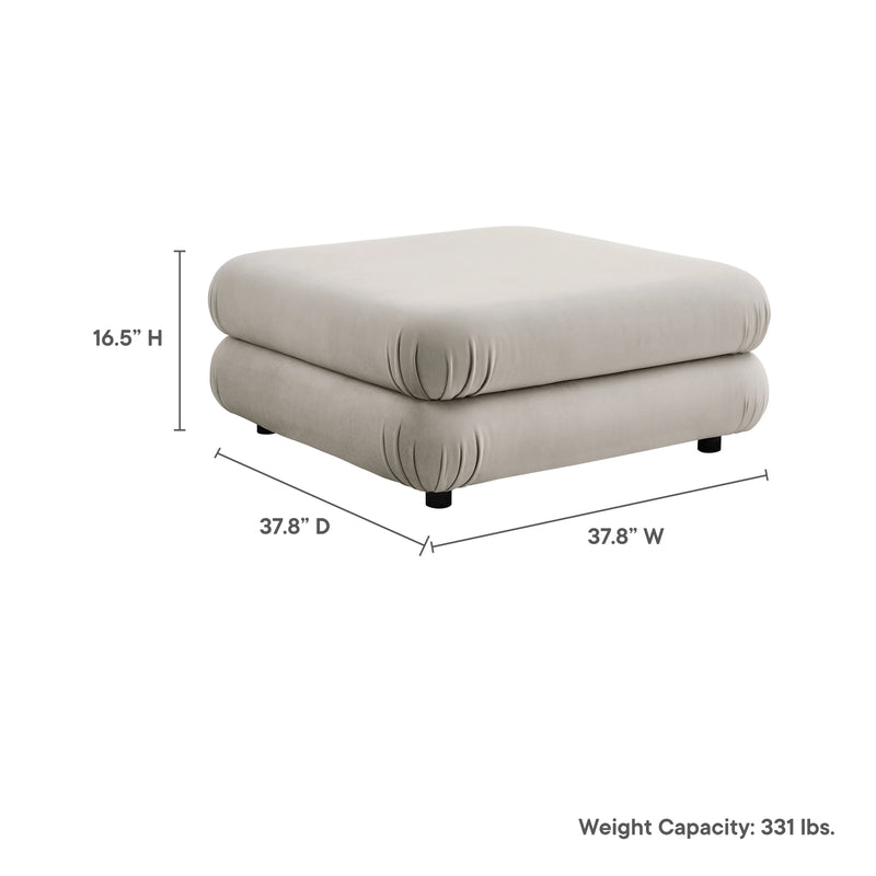 Variant Dimensions Image